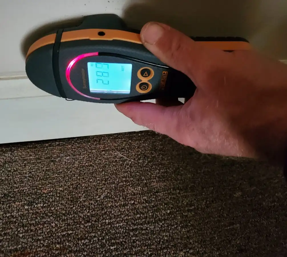 Moisture detection at baseboard during Sewage Cleanup & Sanitation in Emporia